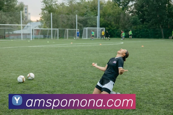 App 展示图