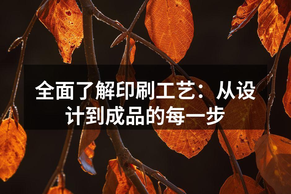 印刷工艺展示
