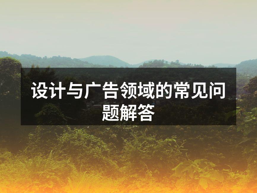 设计师正在与客户讨论项目细节